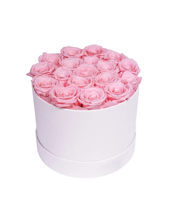 Infinity-Rosen-Pink-Rund