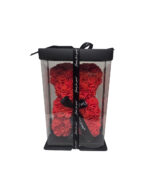 Rosenbär-Rot 25cm