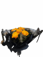 Magic Wings – Sonnenzauber