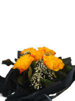 Magic Wings – Sonnenzauber